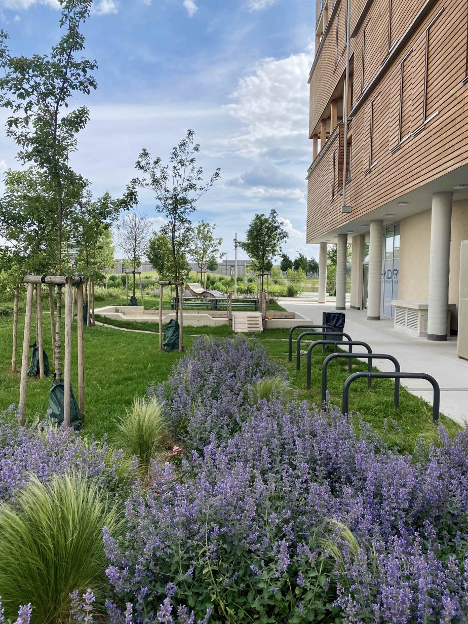 Forum am Seebogen&nbsp;Aspern