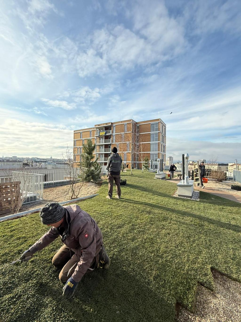 B.R.I.O. Alles auf Schiene!