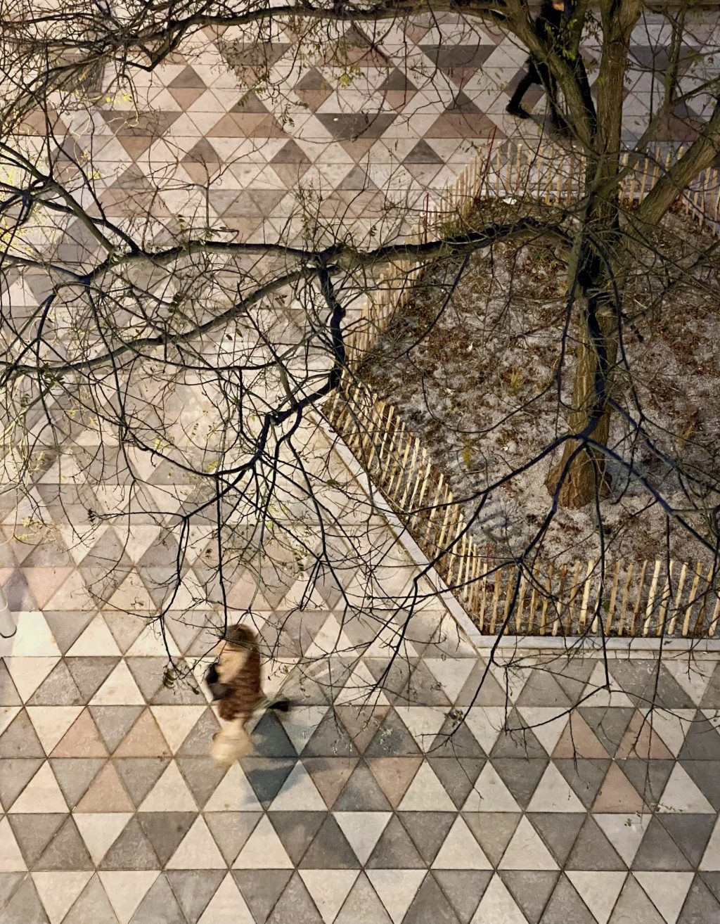 Julius-Tandler-Platz